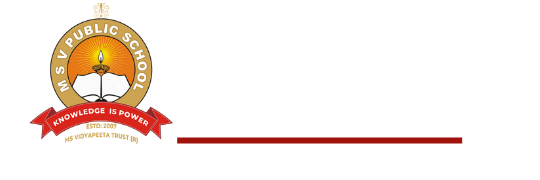 Logo MSV white no BG